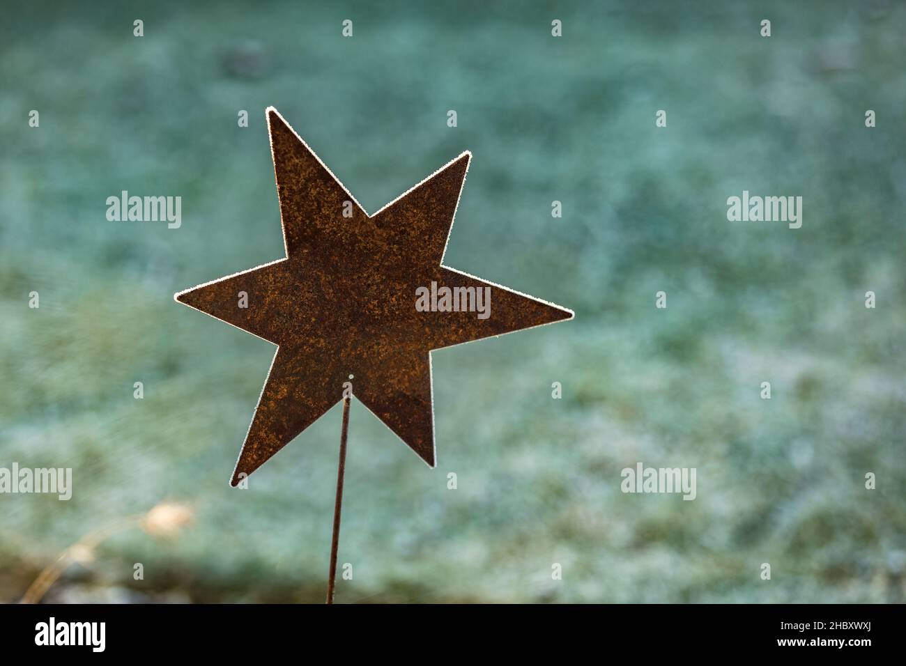 Biglietto di auguri con una stella su sfondo bianco congelato e spazio per un messaggio personale per Natale o Avvento Foto Stock