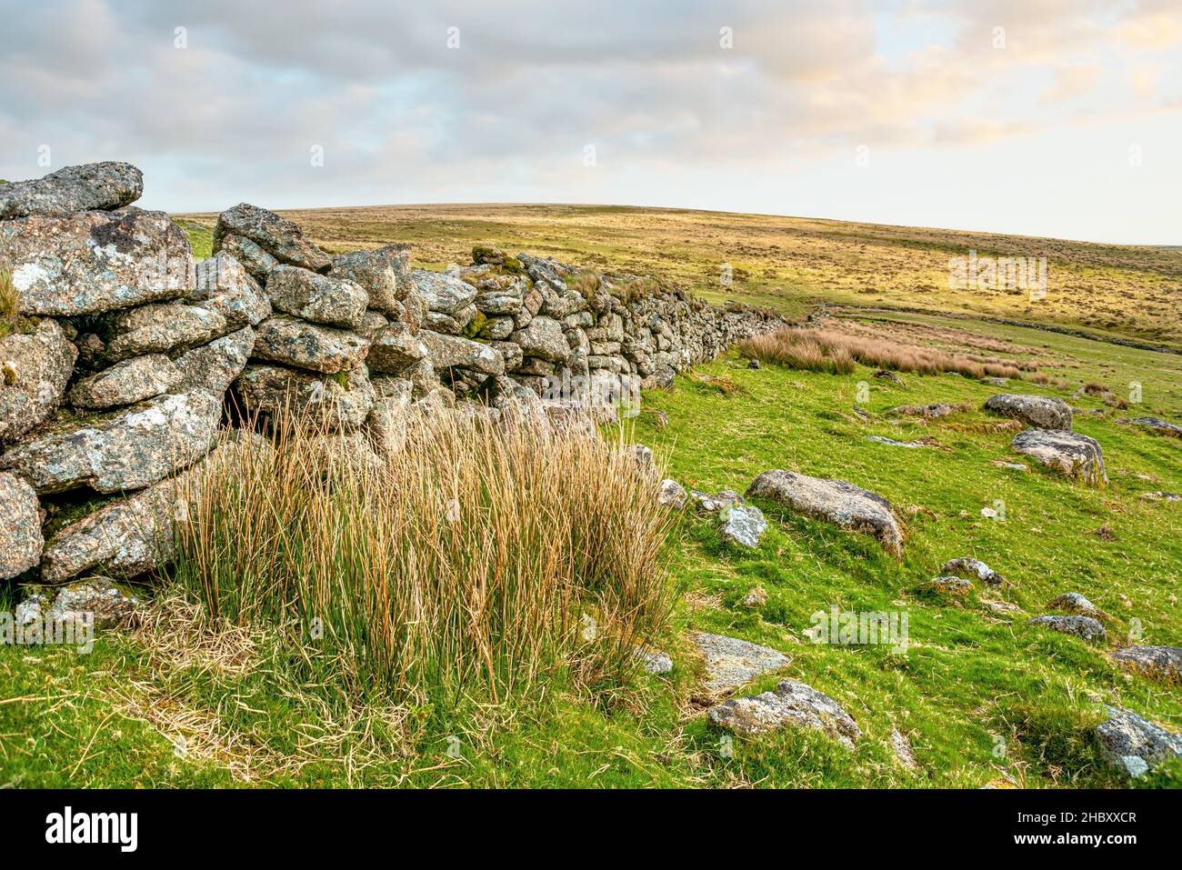 Muro di pietra a secco al Dartmoor National Park, Devon, Inghilterra, Regno Unito Foto Stock