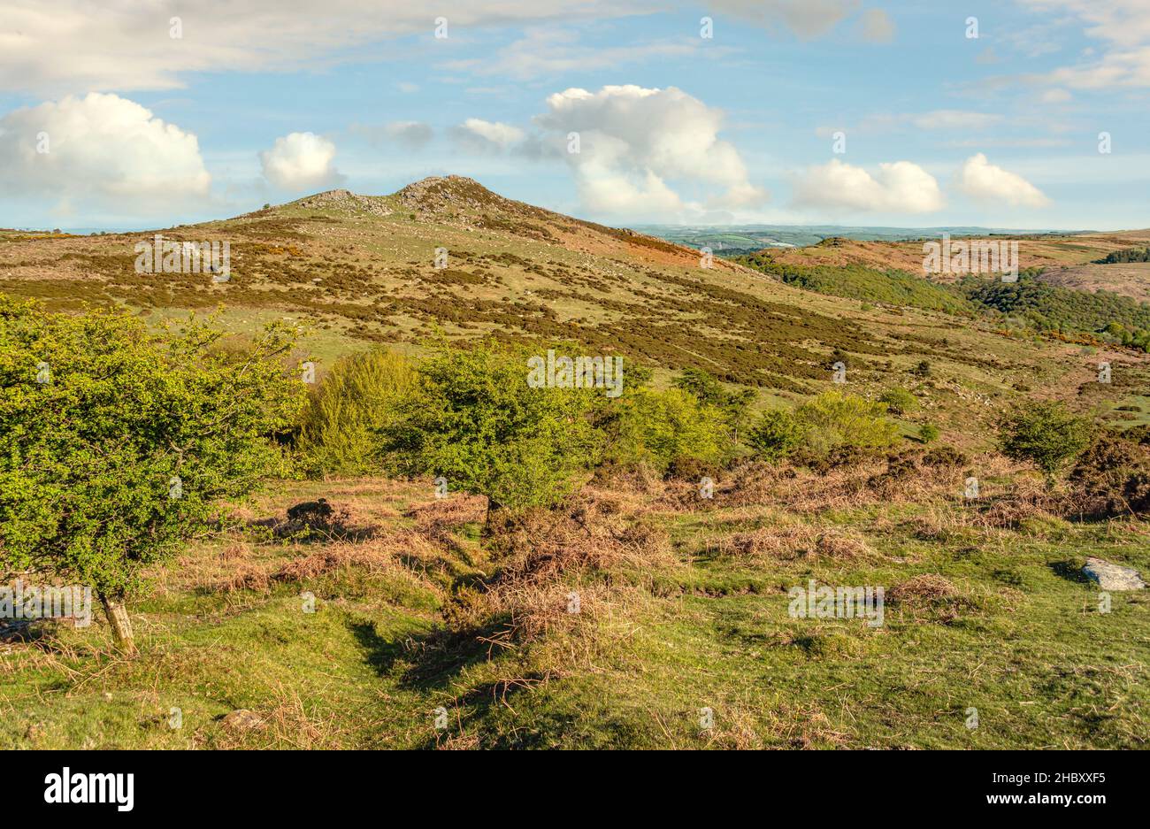 Paesaggio al Dartmoor National Park, Devon, Inghilterra, Regno Unito Foto Stock