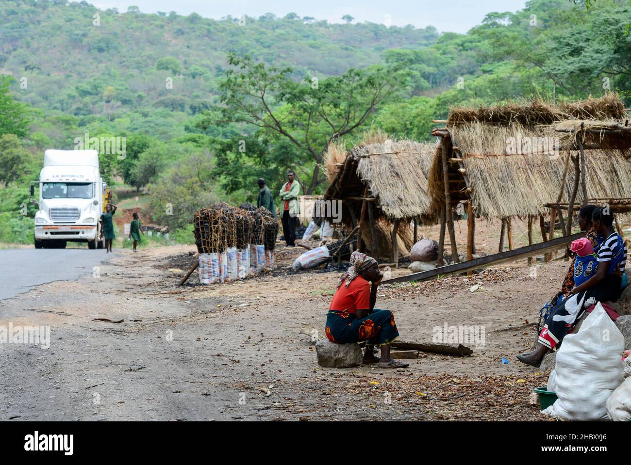 ZAMBIA, distretto di Sinazongwe, carbone di trasporto di camion dalla miniera di carbone di collum cinese al melter di rame nella copperbelt, abitanti del villaggio vendono carbone lungo la strada, Che i camion trasportano a Lusaka come cookin fuel / SAMBIA, LKW transportiert Kohle aus dem chinesischem Collum Kohlebergwerk in den copperbelt zu Kupperhuetten, Verkauf von Holzkohle an der Strasse, Abholzung der Waelder Foto Stock