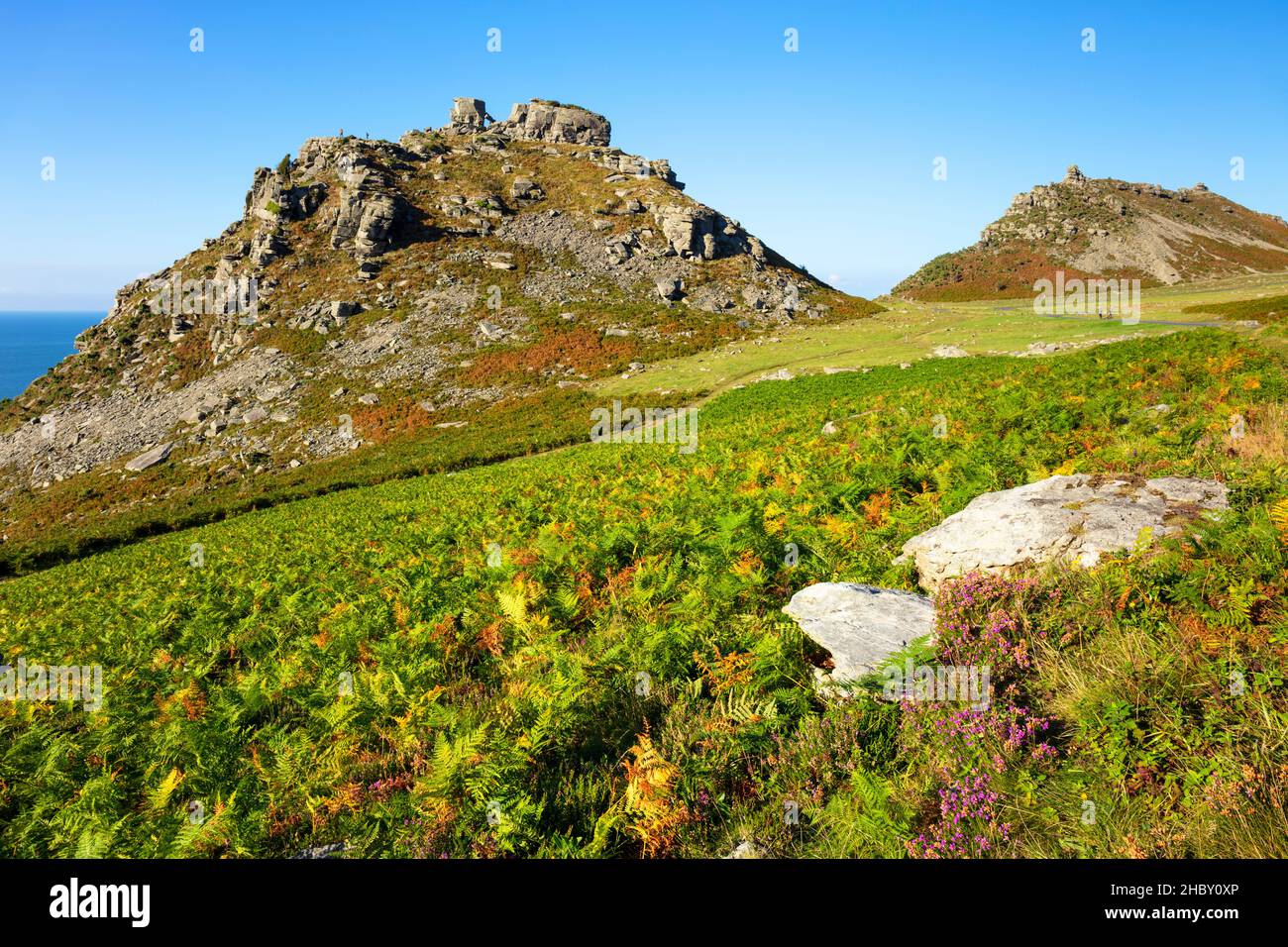 Castle Rock Valley of the Rocks Exmoor National Park vicino a Lynton e Lynmouth Devon Inghilterra GB Europe Foto Stock