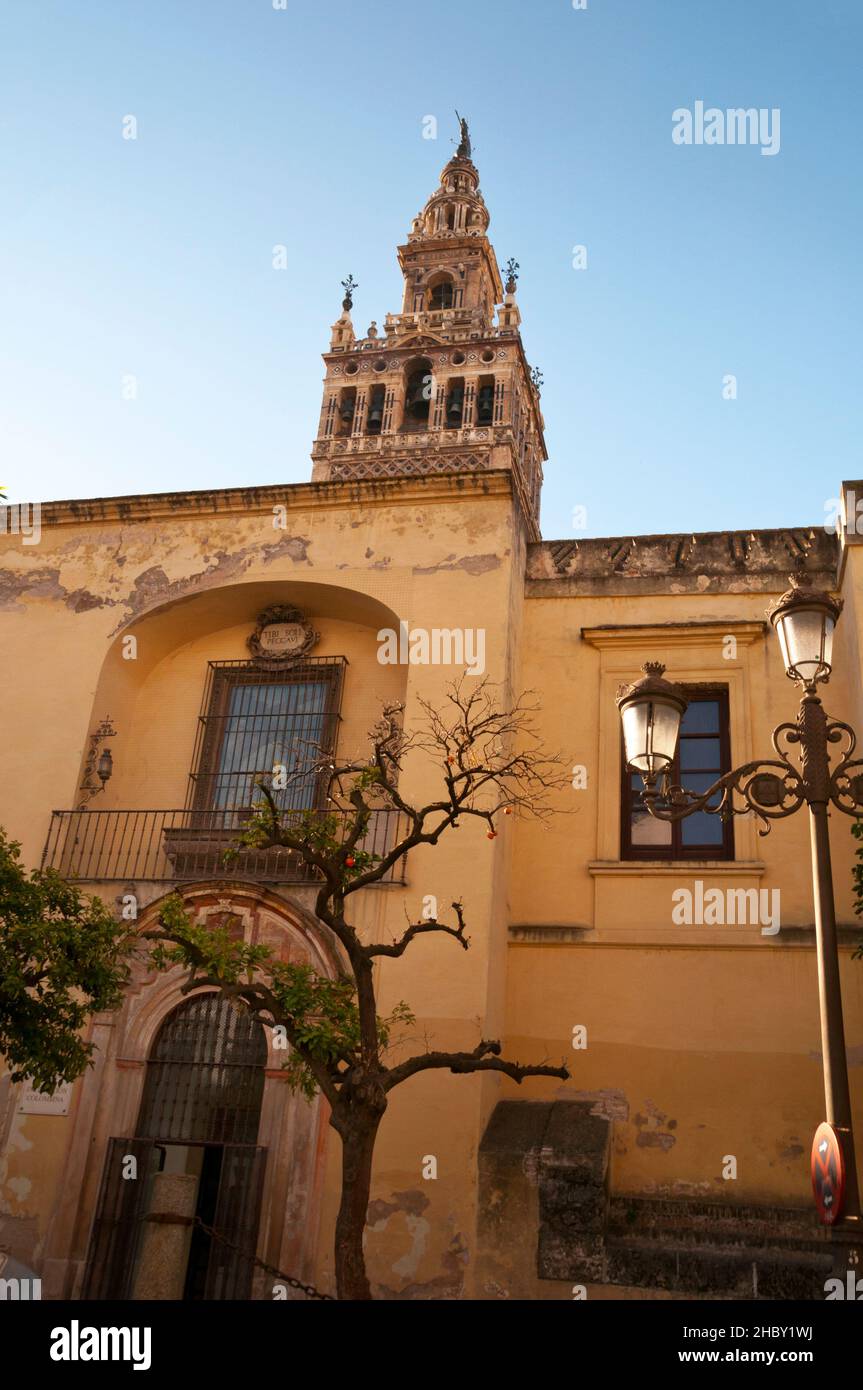 Tri Latino SOLI PECCAVI, ho peccato solo contro di voi iscrizione e Torre Giralda, a Siviglia, Spagna. Foto Stock
