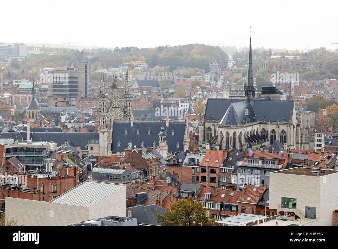 Edifici e tetti intorno a Monseigneur Ladeuzeplein a Leuven, Belgio. La guglia della Chiesa di San Pietro sorge sopra il centro della città. Foto Stock