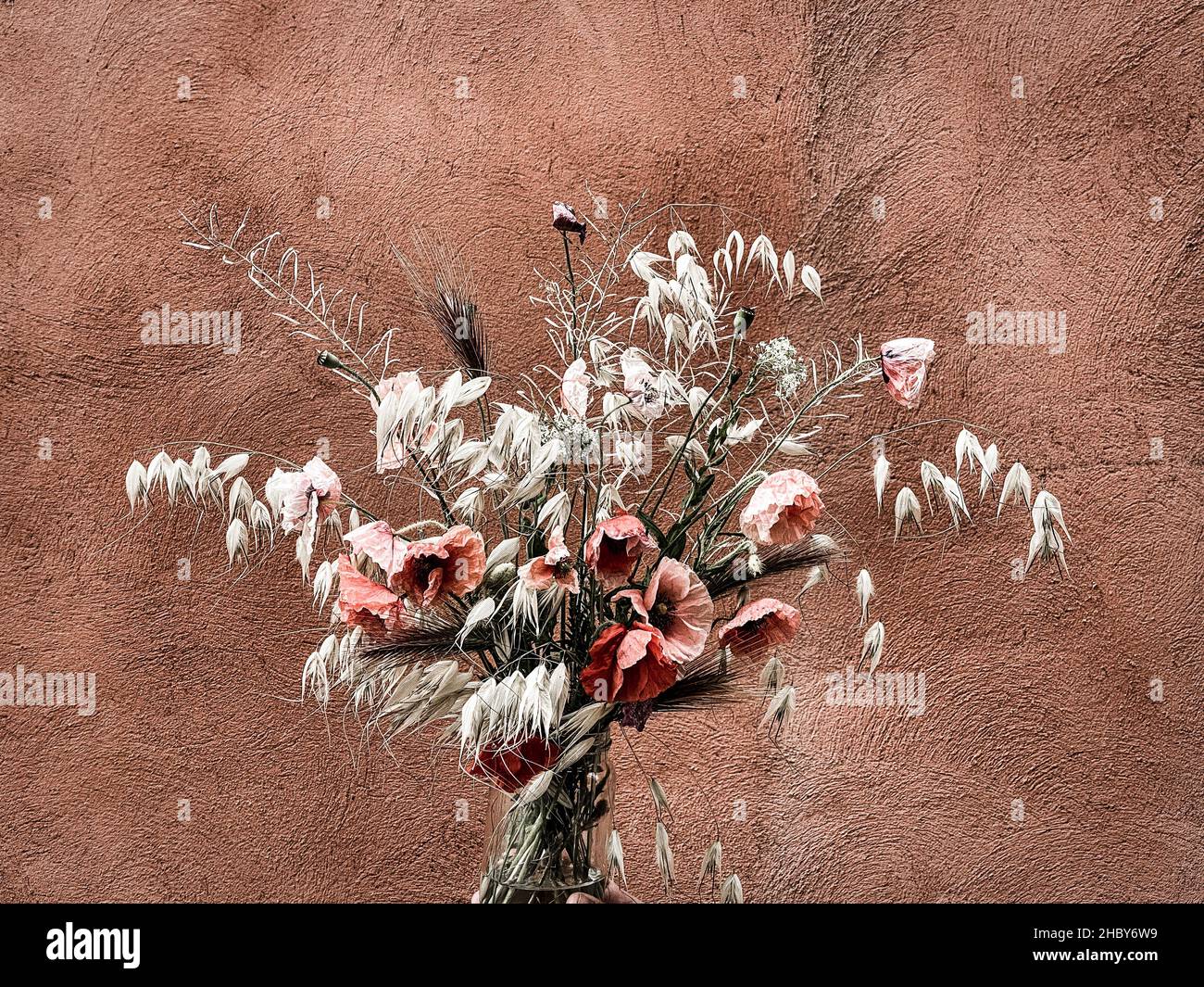 Bouquet misto di fiori selvatici, erbe e papaveri, in un vaso di vetro. Foto Stock