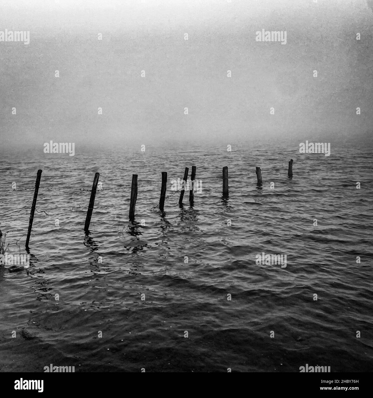 Nebbia mattutina sul lago di Servieres, alcune recinzioni in legno posta in acqua, Puy de Dome, auvergne, Francia Foto Stock