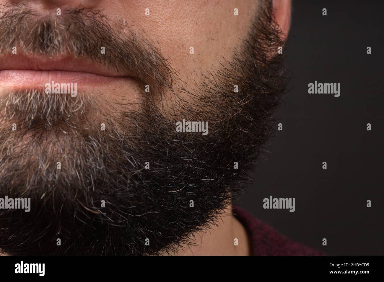 Barba perfetta. Primo piano del giovane barbuto. Primo piano sulla bella barba maschile hipster. Barba elegante e ben curata. Closeup bearded uomini Foto Stock