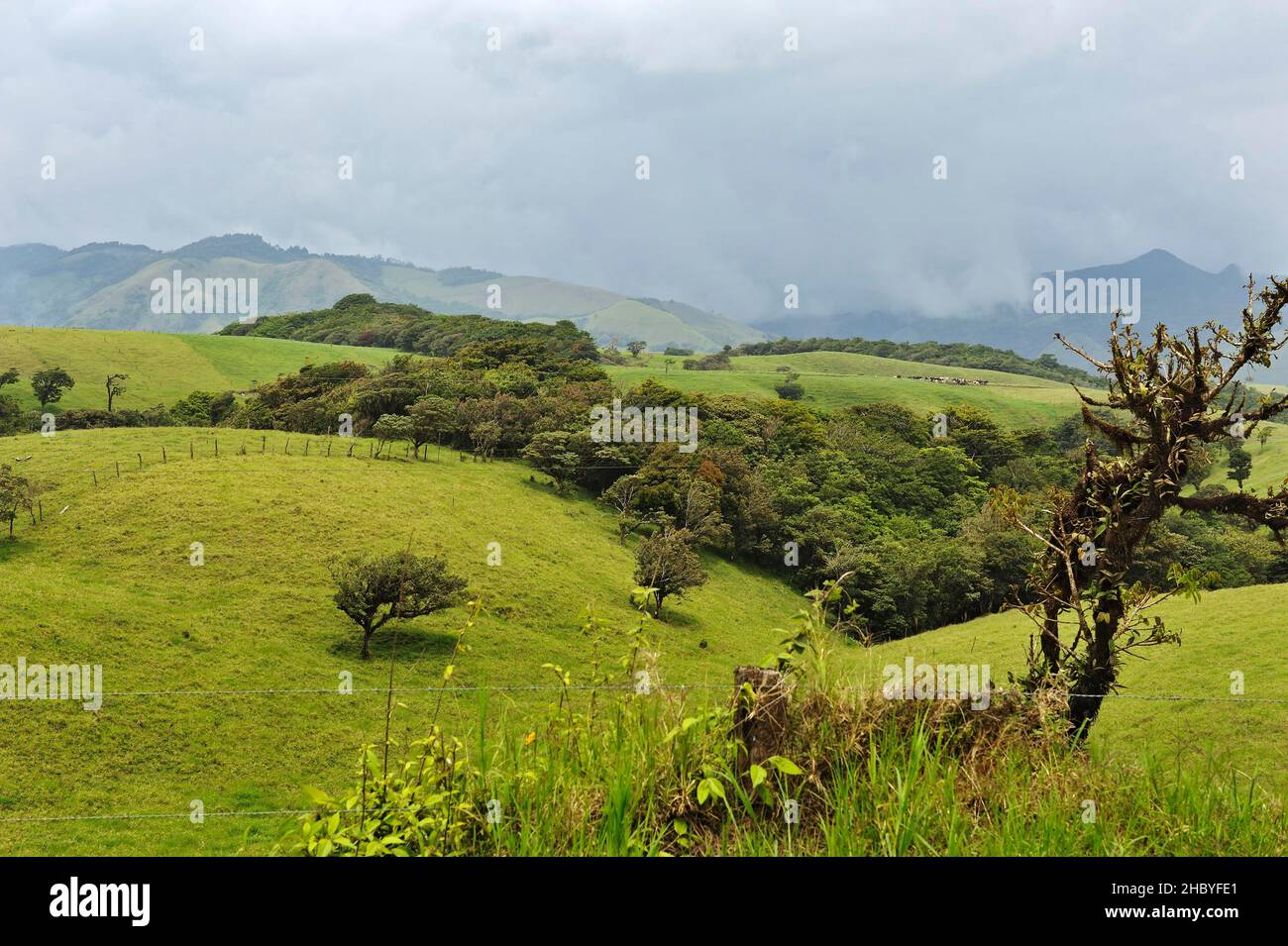 Paesaggio tipico per Monte-Verde, Provincia di Alajuela, Costa Rica, America Centrale Foto Stock
