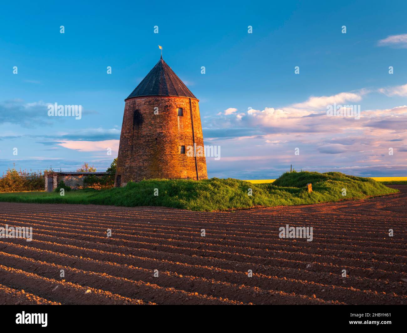 Ex mulino a vento torre in un campo alla luce della sera, Gleina, Sassonia-Anhalt, Germania Foto Stock