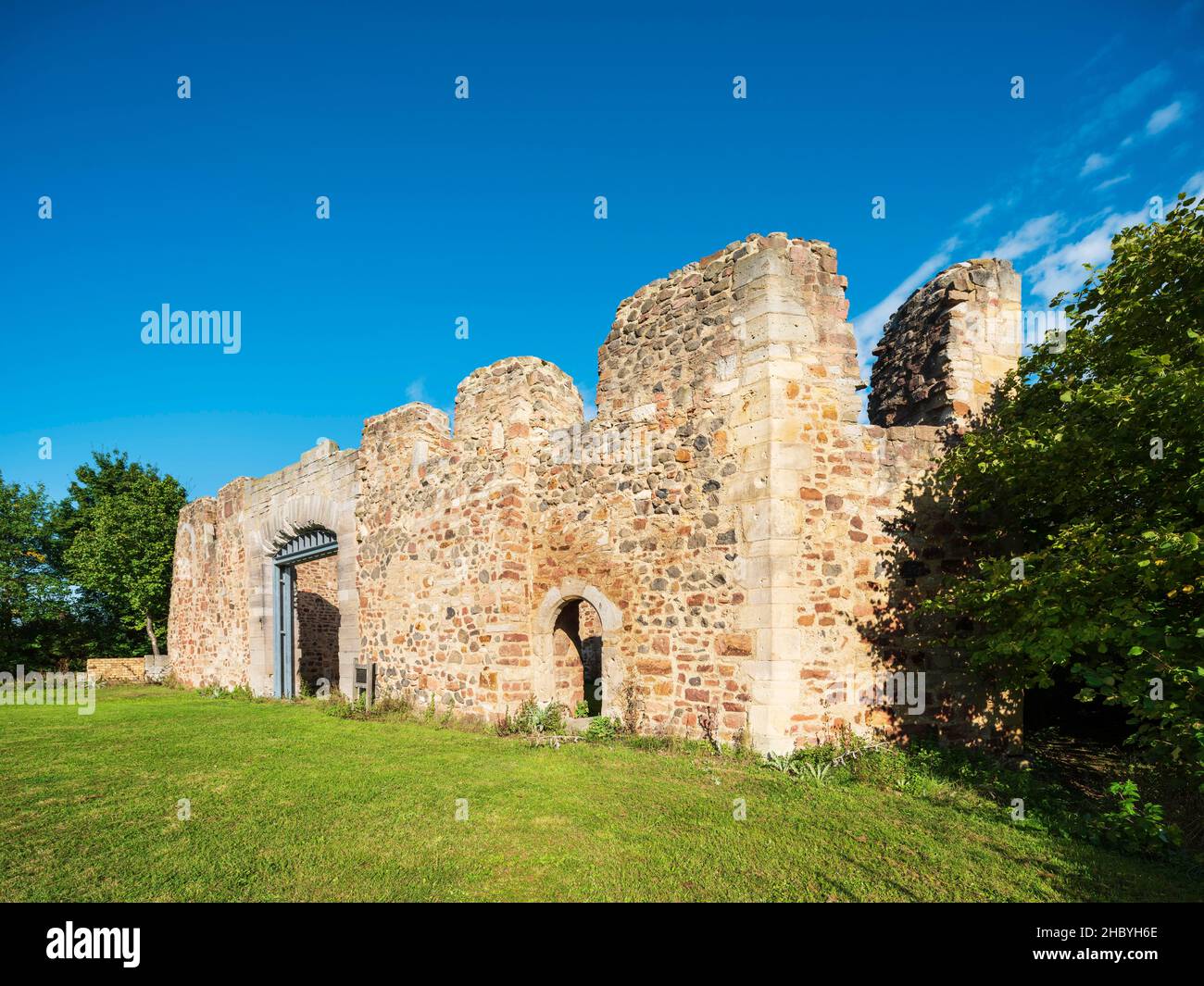Certosa di Eppenberg, rovine del monastero, Felsberg, Assia, Germania Foto Stock