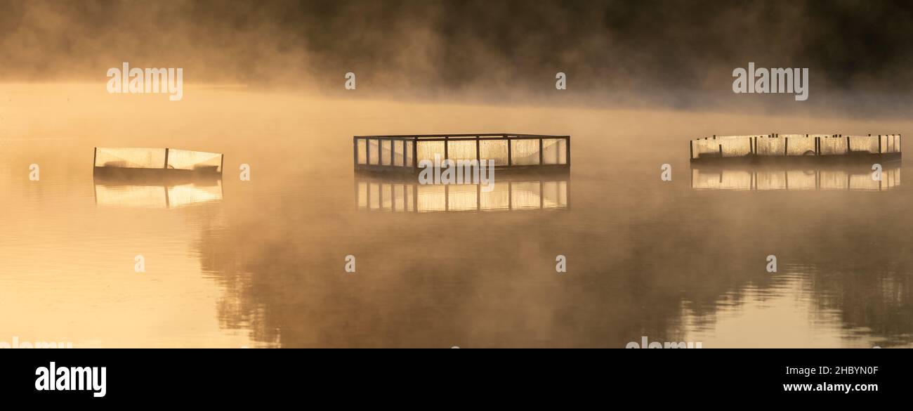 Misty alba sull'acqua Foto Stock