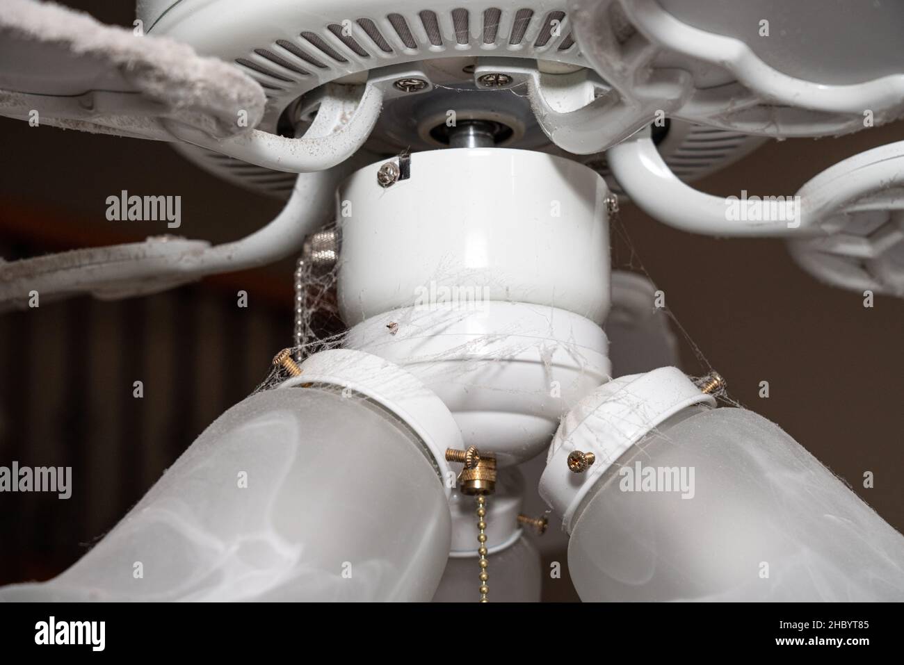 La pala della ventola sul ventilatore a soffitto e sul dispositivo di illuminazione necessita di pulizia per rimuovere polvere e lanugine lungo il bordo Foto Stock