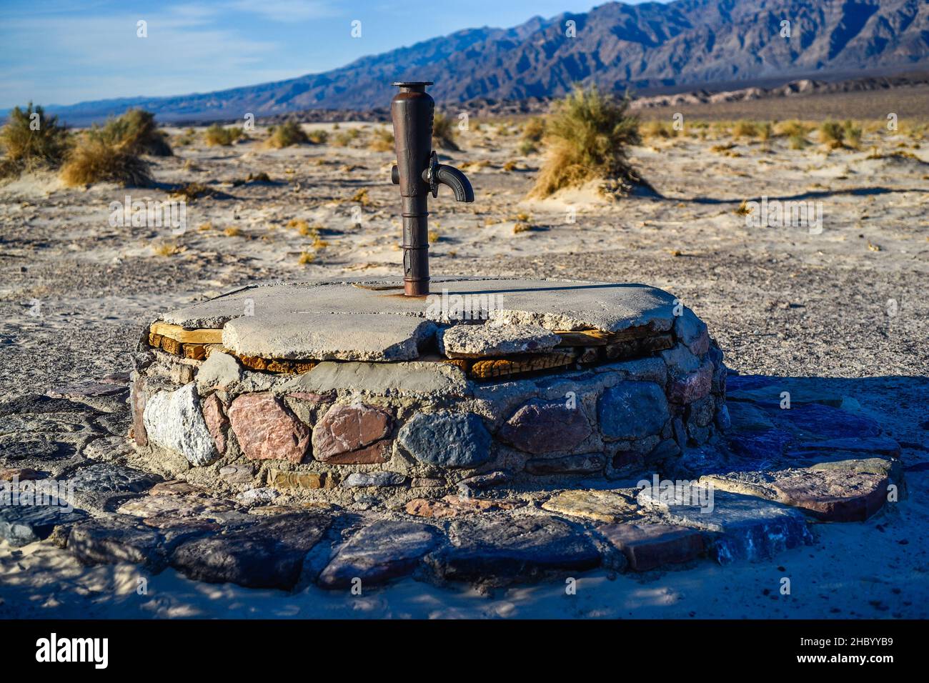 Asini selvatici si levano fuori da una casa a Beatty Nevada in cerca di una mano fuori. Foto Stock