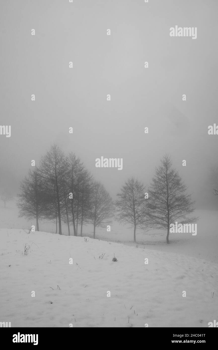 paesaggio invernale con neve, alberi e strade ghiacciate Foto Stock