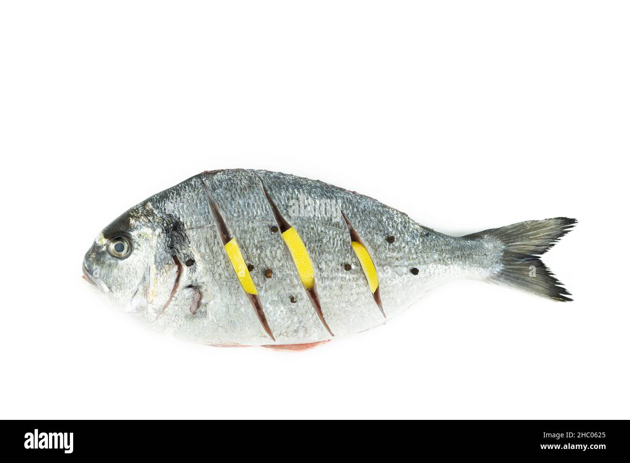 Sparus aurata. Orata di mare con limone isolato su sfondo bianco. Pesce crudo. Vista dall'alto. Spazio di copia. Foto Stock