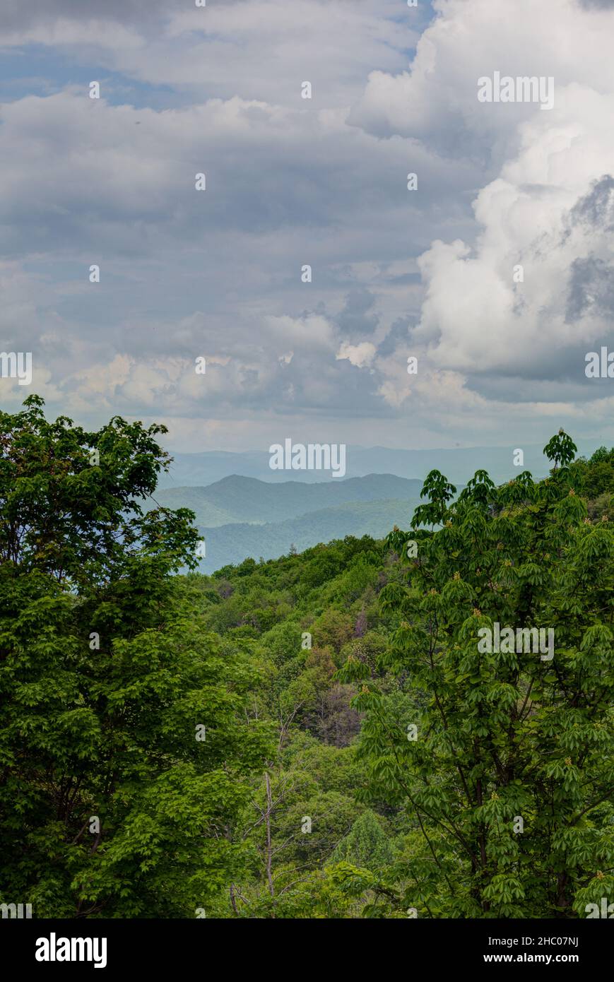 Fires Creek nella Nantahala National Forest, North Carolina Foto Stock