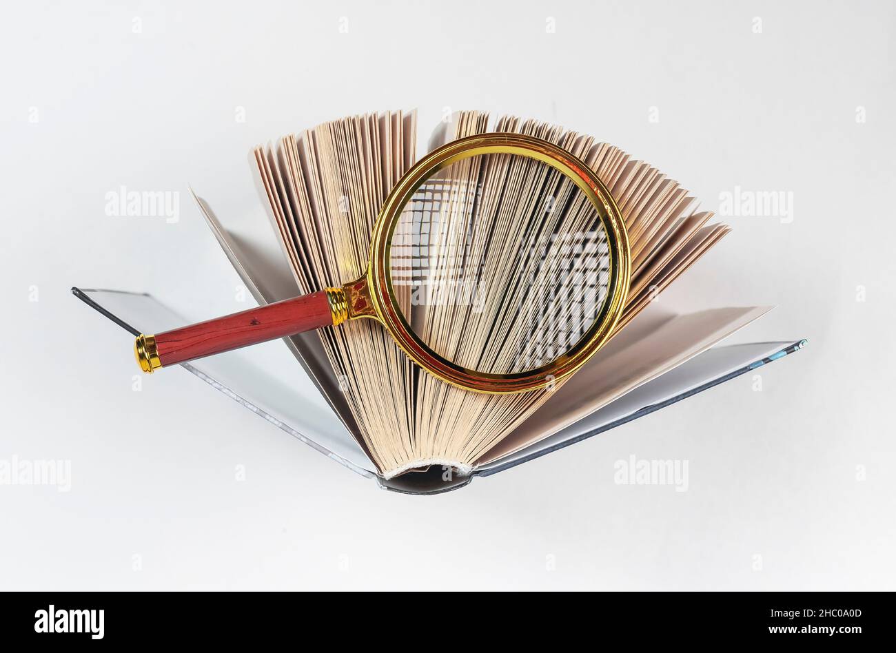 Lente d'ingrandimento sopra il libro di carta aperto con le pagine. Concetto di ricerca accademica, ricerca e studio. Foto Stock