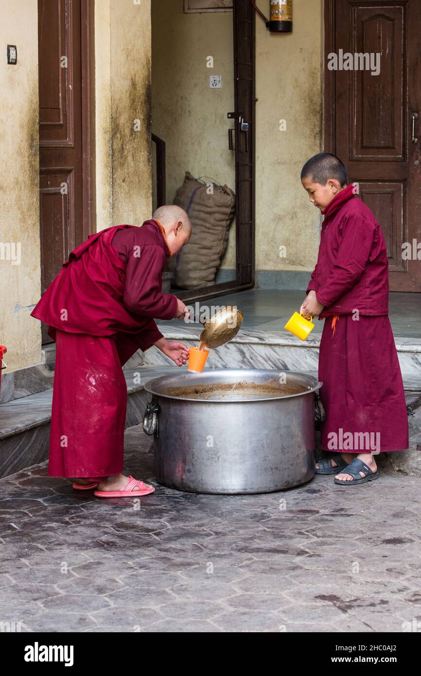 Un giovane monaco buddista novizio versa il tè del mattino nel monastero di Sechen a Kathmandu, in Nepal. Foto Stock