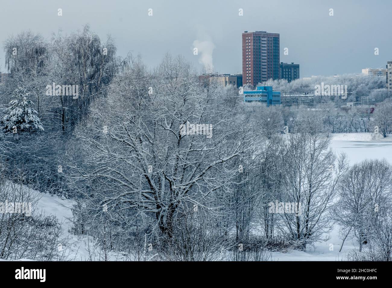 Inverno magico nel parco. Bellissimo cielo e neve bianca. Foto di alta qualità Foto Stock