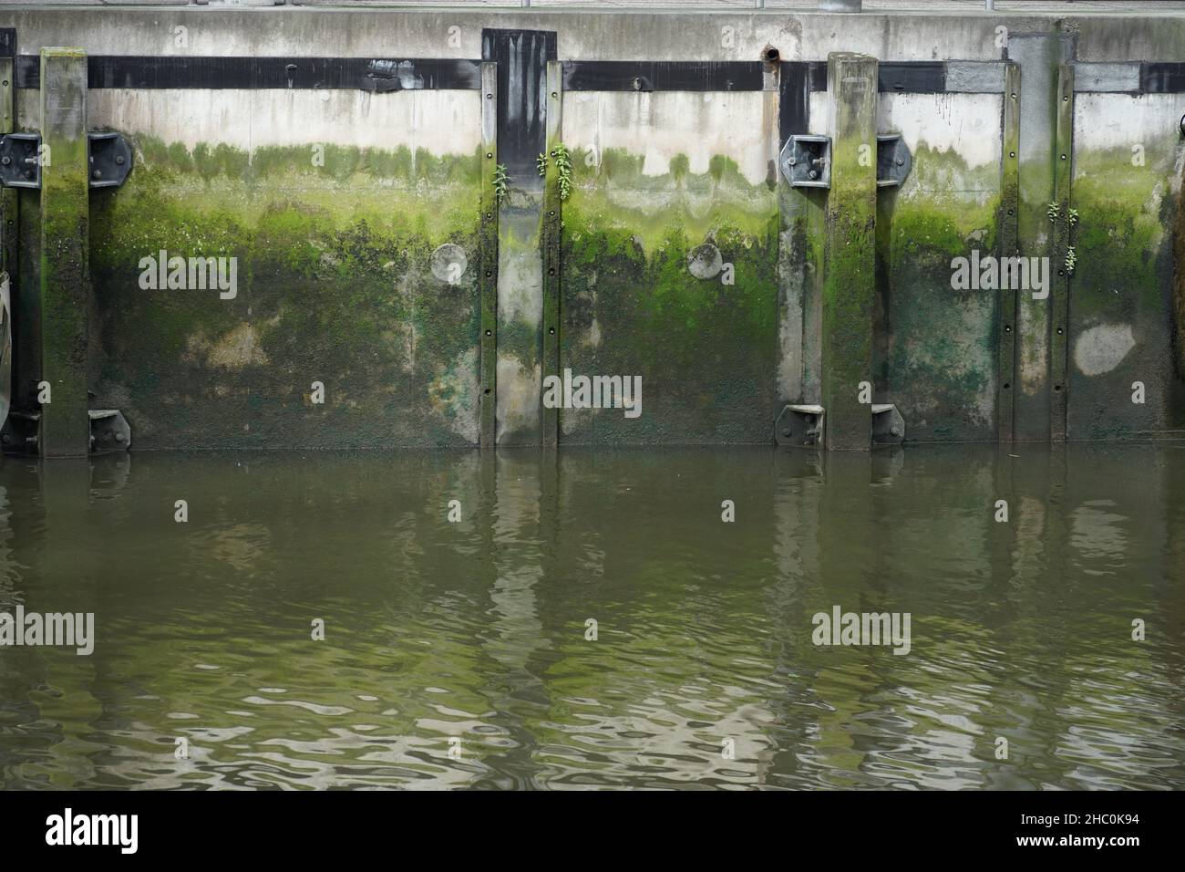 Parete di cemento del lungofiume in un canale del fiume Nieuwe Maas a Rotterdam. Foto Stock