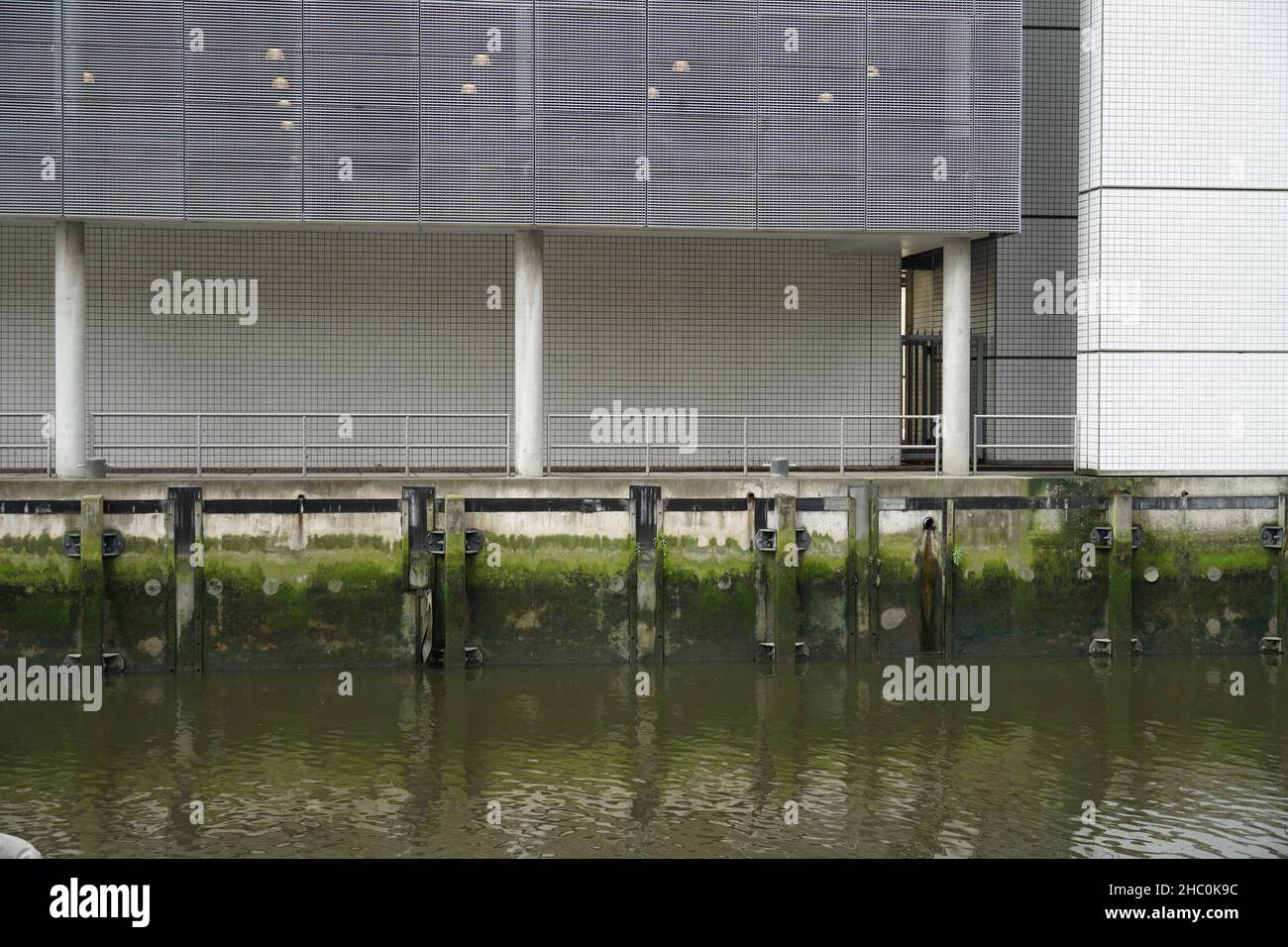 Edificio aziendale sopra un muro di cemento del lungofiume in un canale del fiume Nieuwe Maas a Rotterdam sovrastato da alghe verdi. Foto Stock