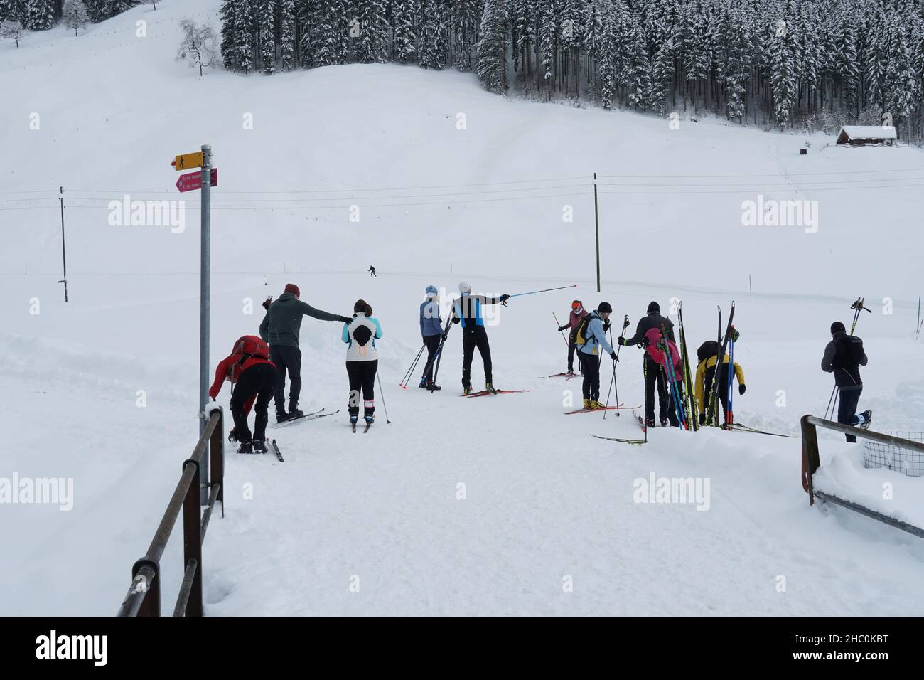 Sci di fondo all'inizio del percorso. Foto Stock