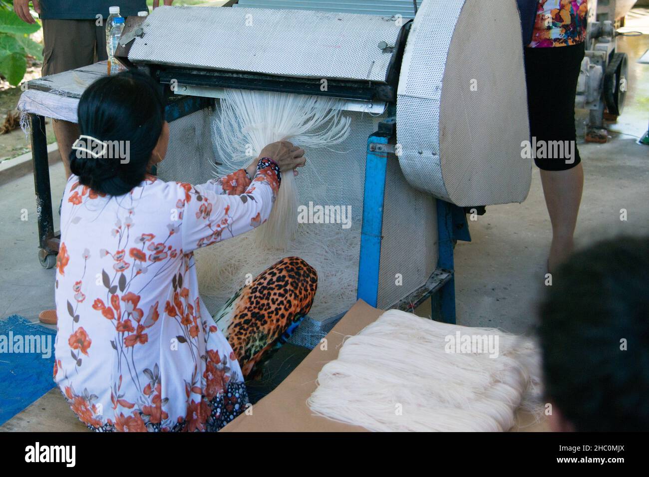 Vista posteriore di una donna irriconoscibile che produce spaghetti di riso. Donna che prende i noodel fuori dalla macchina da taglio. Vietnam, Asia. Foto Stock