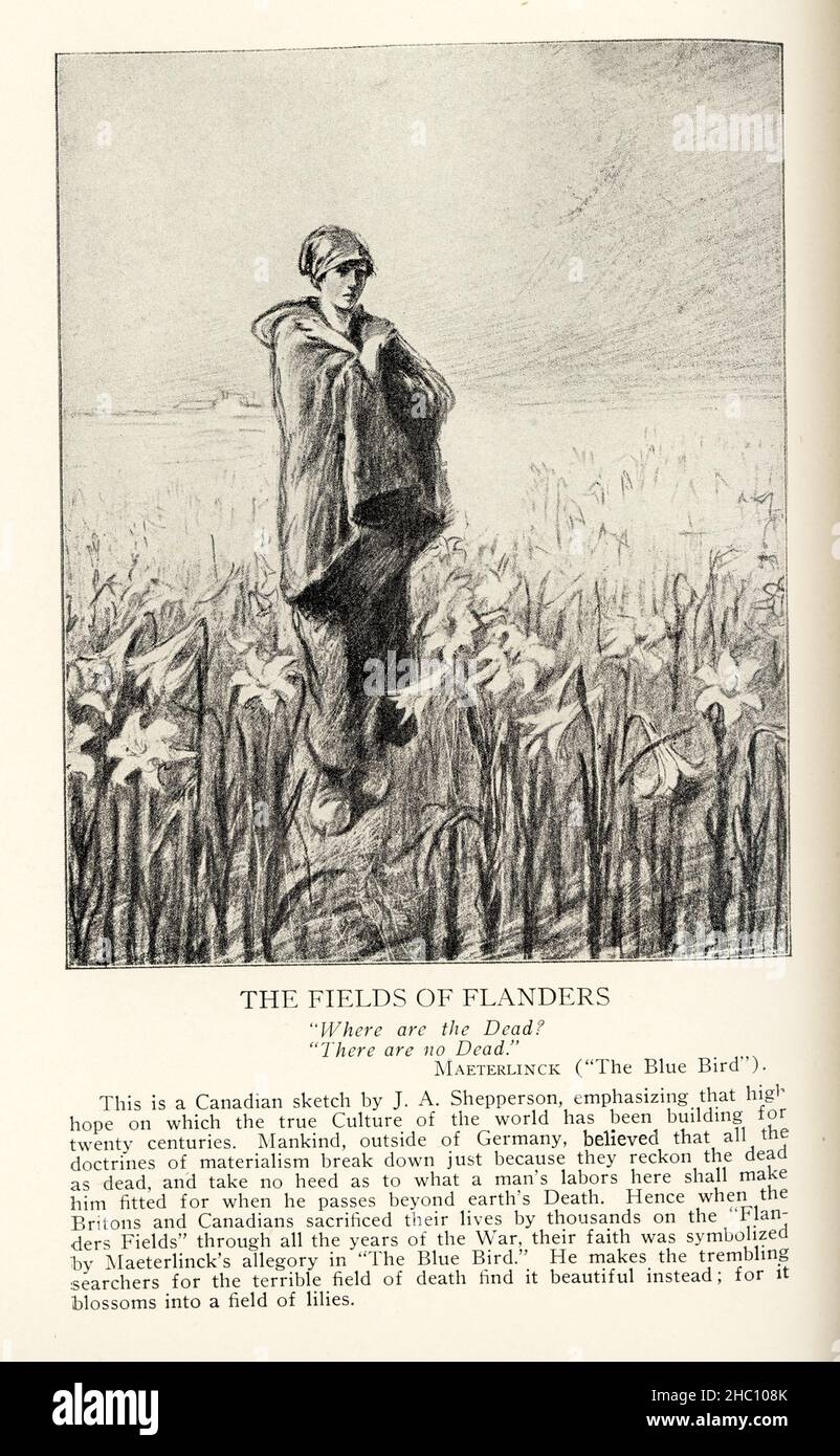 I campi delle Fiandre "dove sono i morti?" "Non ci sono morti." Maeterlinck (“The Blue Bird”) questo è un disegno canadese di J A Shepperson, che sottolinea quell'alta speranza sulla quale la vera Cultura del mondo si costruisce da vent'anni. L’umanità, al di fuori della Germania, credeva che tutte le dottrine del materialismo si rompessero solo perché consideravano i morti come morti, e non prestavano attenzione a ciò che le fatiche di un uomo qui lo renderanno adatto quando egli oltrepassava la morte della terra. Da qui, quando i britannici e i canadesi hanno sacrificato la loro vita di migliaia sui “campi delle Fiandre” attraverso al Foto Stock