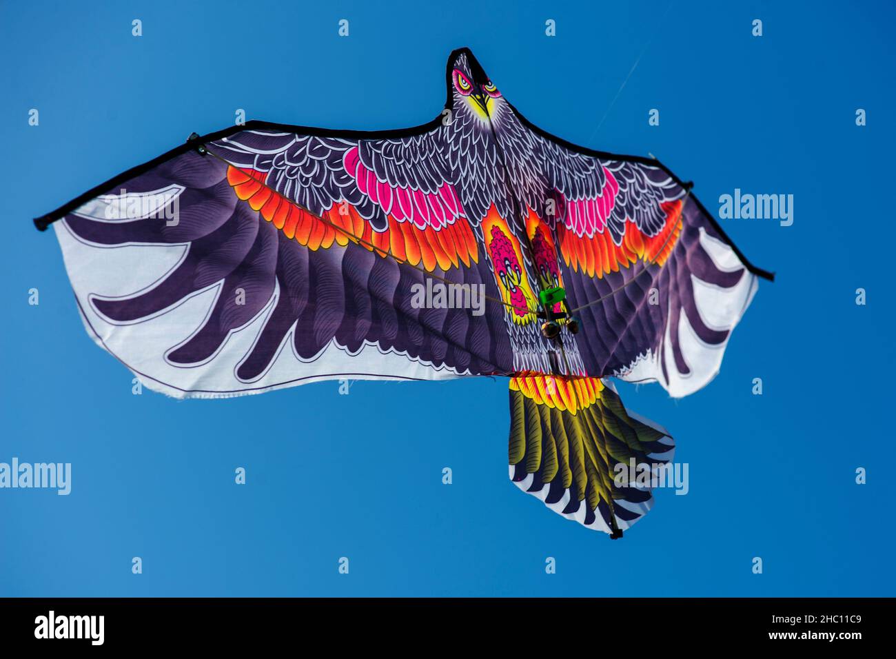 Solo un uccello colorato aquilone volare nel cielo blu. Foto Stock