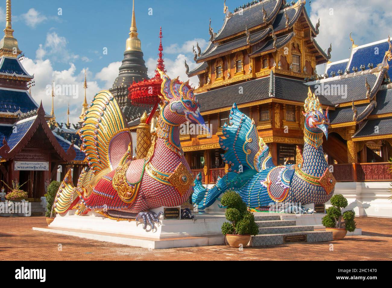 Thailandia: HAMSA o oche sacre a Wat Ban Den, Ban Inthakin, distretto di Mae Taeng, Chiang mai. Il Wat Ban Den, noto anche come Wat Bandensali si Mueang Kaen, è un grande complesso di templi buddisti a nord della città di Chiang mai, nel nord della Thailandia. Foto Stock