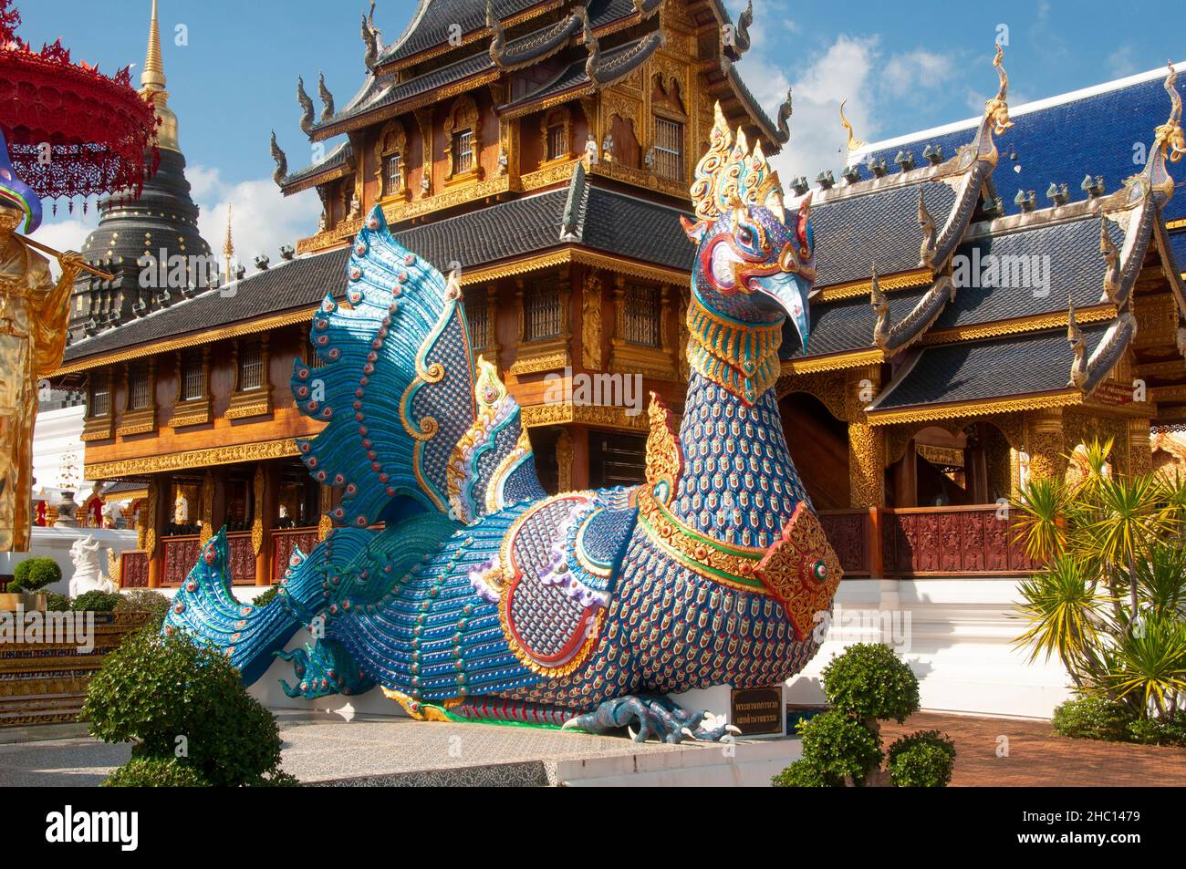 Thailandia: Amsa o oca sacra a Wat Ban Den, Ban Inthakin, distretto di Mae Taeng, Chiang mai. Il Wat Ban Den, noto anche come Wat Bandensali si Mueang Kaen, è un grande complesso di templi buddisti a nord della città di Chiang mai, nel nord della Thailandia. Foto Stock