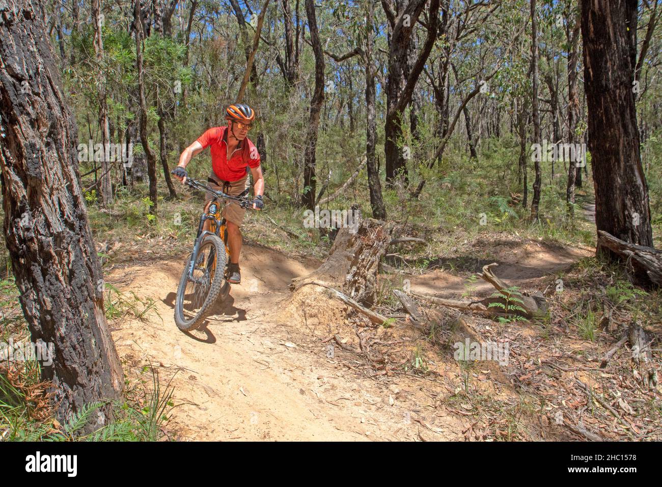 Mountain bike a Forrest, Victoria Foto Stock