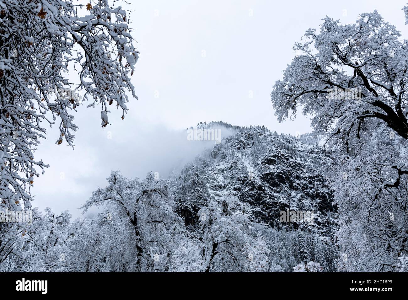 Parco Nazionale di Yosemite innevato. Foto Stock