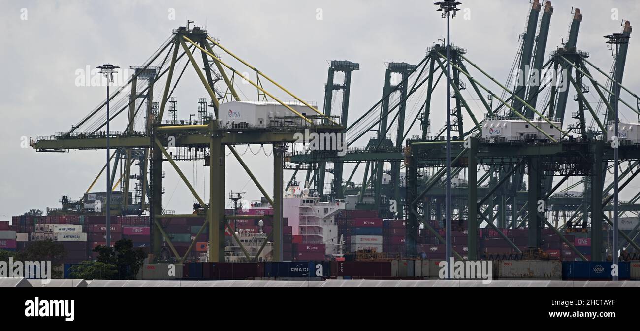 Singapore. 17th Dic 2021. La foto scattata il 17 dicembre 2021 mostra le gru portuali in funzione nel terminal container Tanjong Pagar di Singapore. Le esportazioni nazionali non petrolifere (NODX) di Singapore sono cresciute per i 12th mesi consecutivi di novembre, e la crescita anno dopo anno è aumentata dal 17,8% di ottobre al 24,2%, Enterprise Singapore, un'agenzia governativa, ha annunciato venerdì. Credit: Allora Chih Wey/Xinhua/Alamy Live News Foto Stock