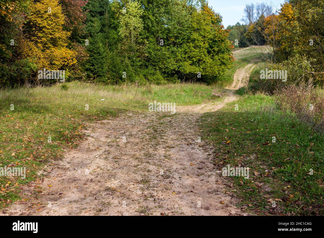 Un tortuoso sentiero rurale in un ambiente pittoresco Foto Stock