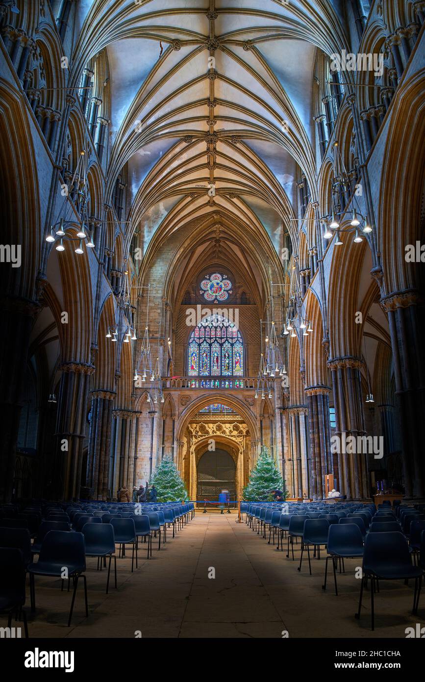 Scintillanti alberi di natale all'estremità ovest della navata nella cattedrale di Lincoln, Inghilterra, dicembre 2021. Foto Stock