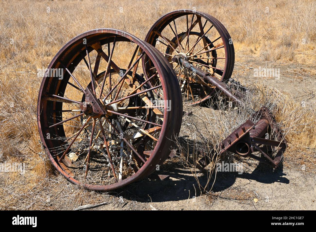 Vecchia arenaria a Carrizo Plain Foto Stock
