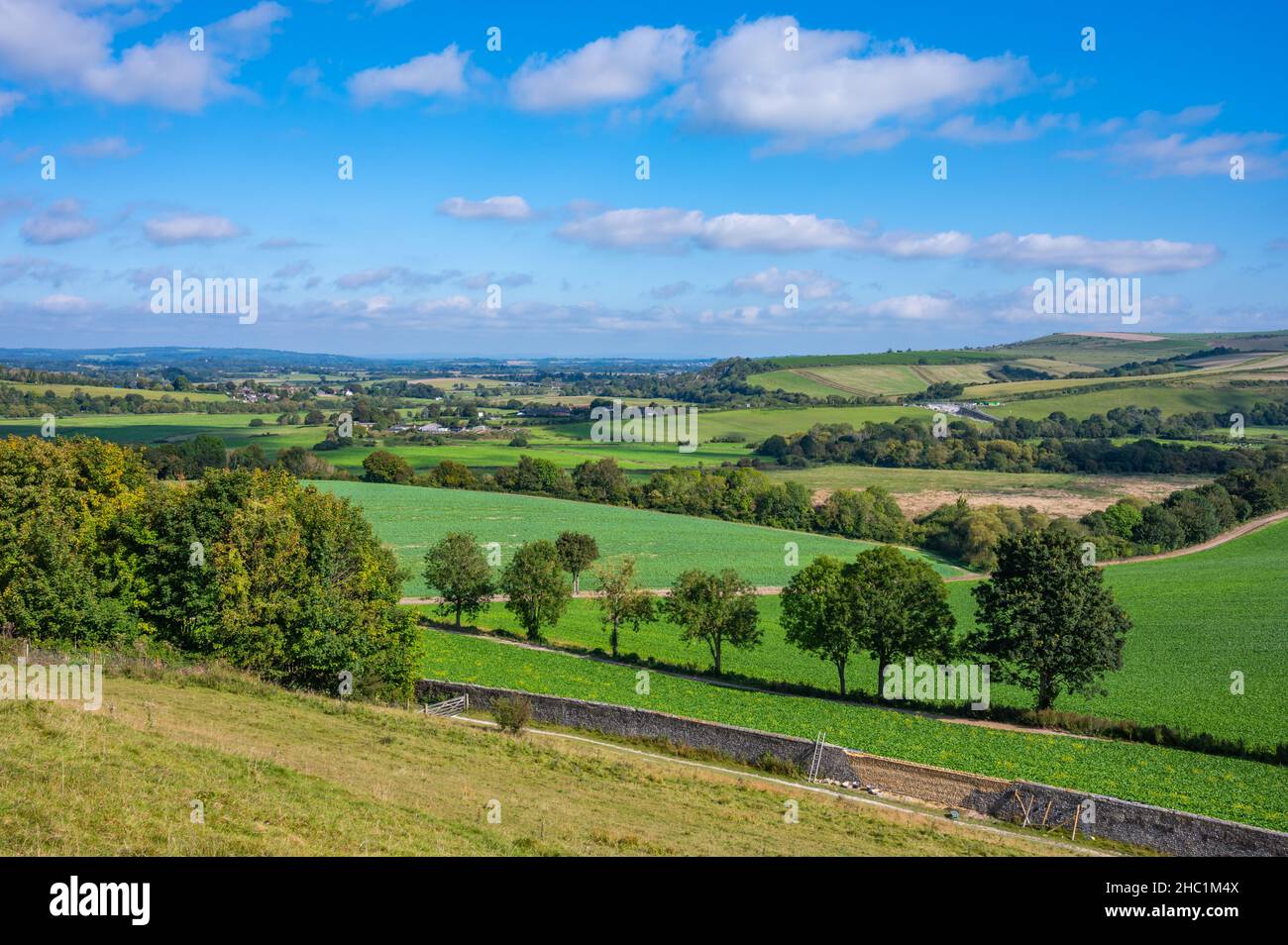Paesaggio della campagna britannica in fine estate / inizio autunno di Arun Valley, South Downs National Park, West Sussex, Inghilterra, Regno Unito. Foto Stock