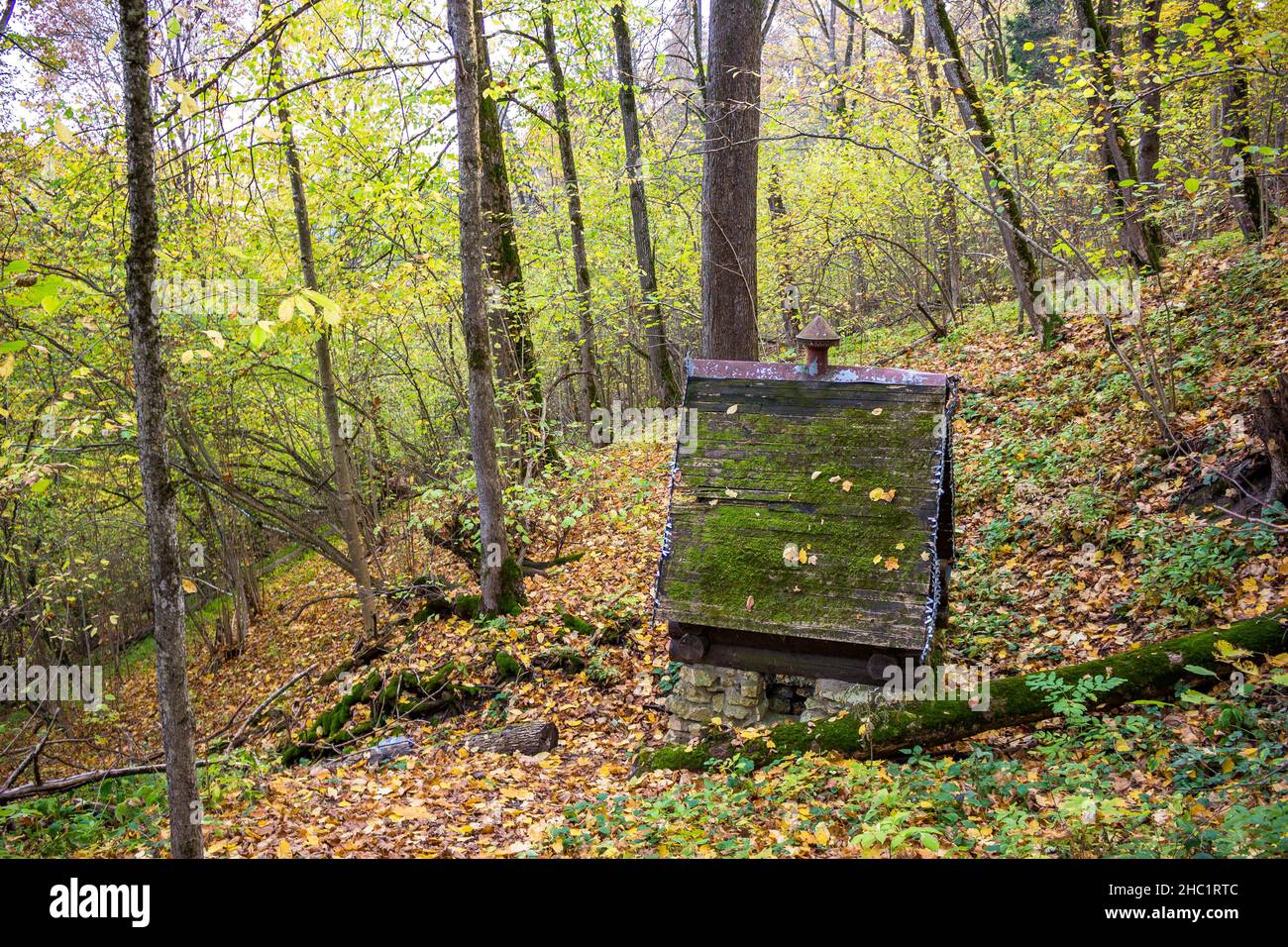 Una sorgente ben attrezzata in una zona forestale. Kuvshinovo, distretto di Zhukovsky, regione di Kaluzhskiy, Russia Foto Stock