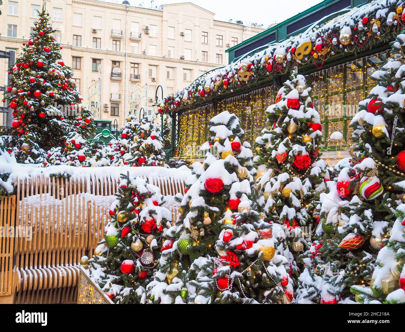 Alberi di Natale ricoperti di neve, decorati con palline colorate su una strada della città. Foto Stock