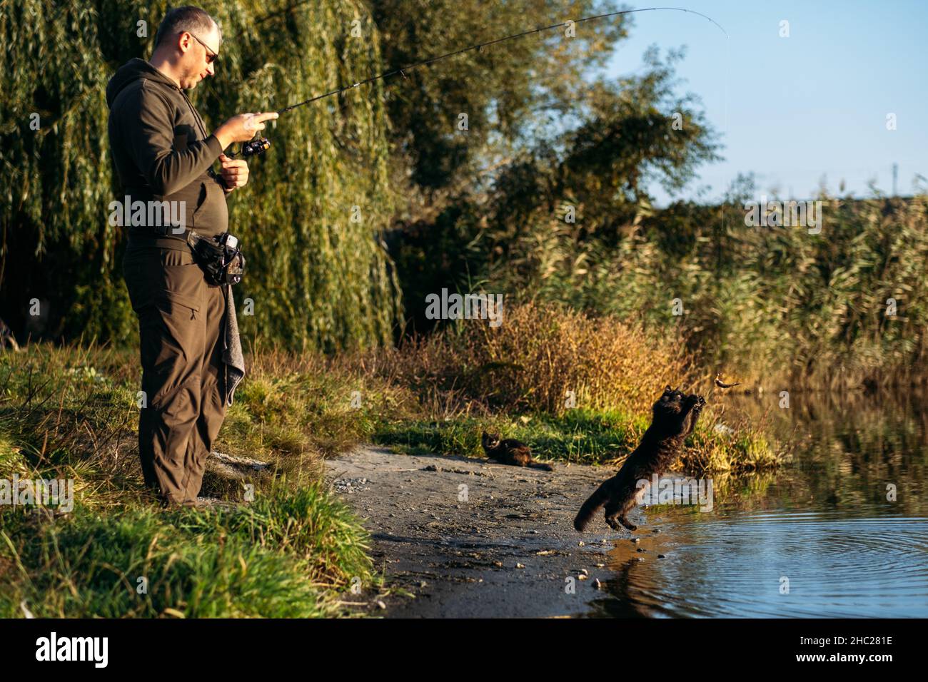 Gatto nero senza tetto che cattura il pesce con il pescatore sulla riva del fiume. Il gatto nero parassita affamato ottiene il cibo Foto Stock