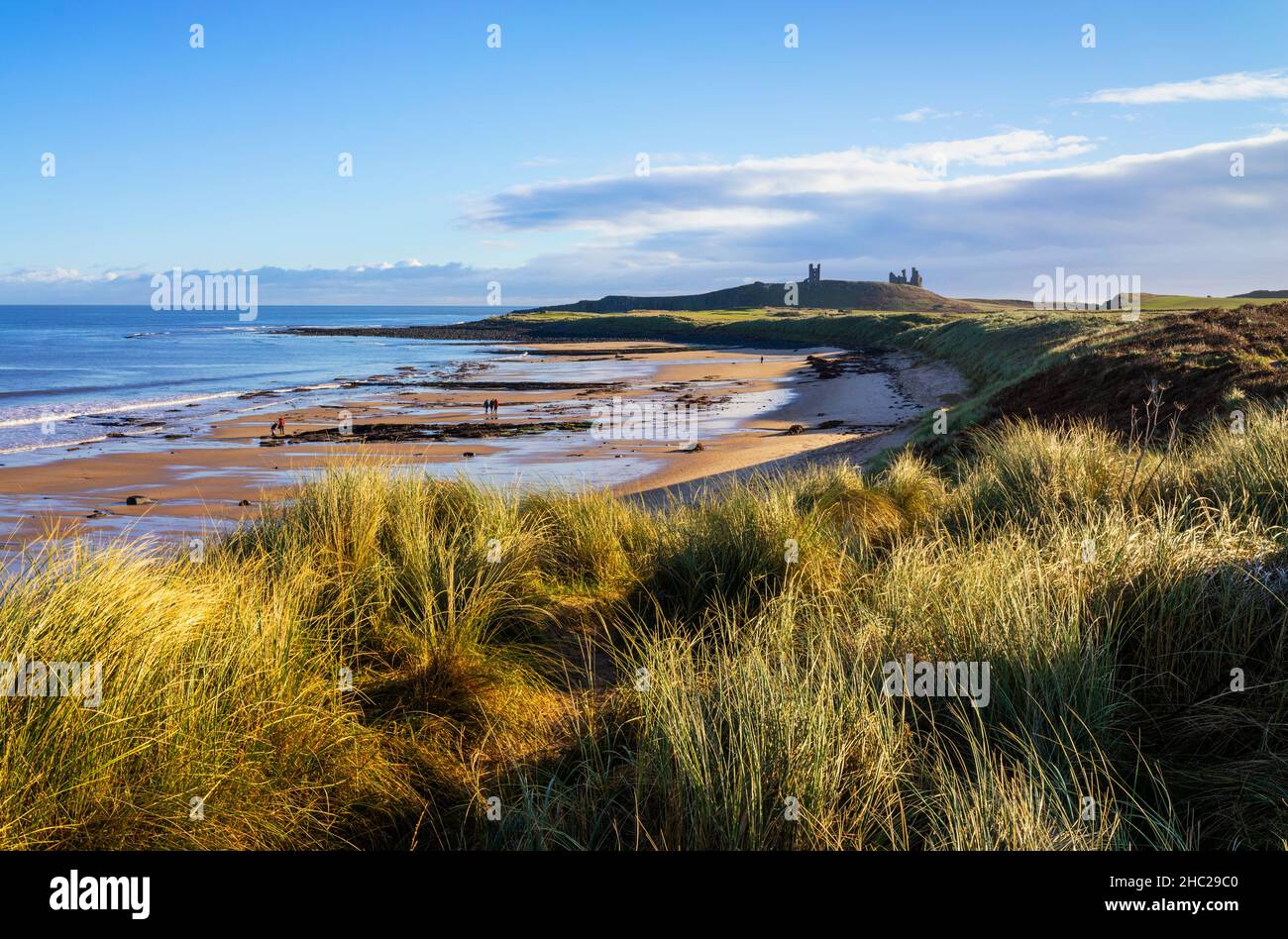 Dunstanburgh Castello Northumberland Inghilterra dalle dune di Embleton Bay Northumberland costa Inghilterra GB UK Europe Foto Stock