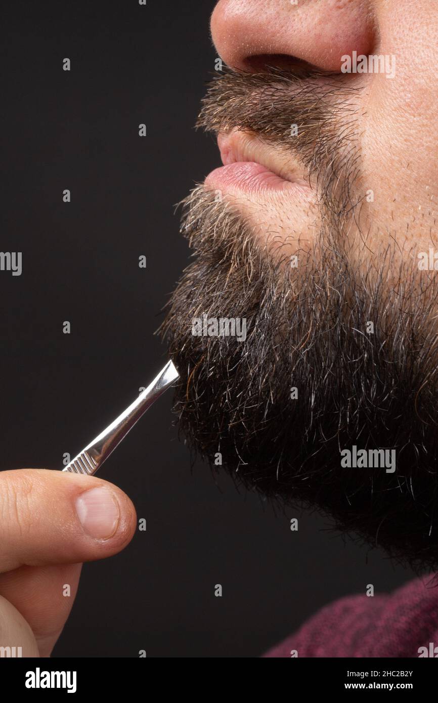 Profilo dell'uomo bearded che tira i capelli grigi dalla barba graying con le pinzette, emozioni sgradevoli nel barbiere Foto Stock
