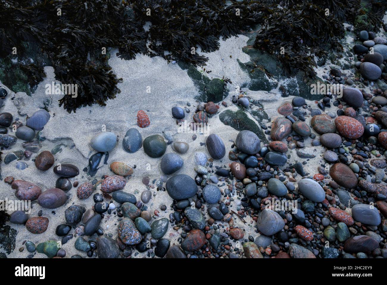 Rocce e ciottoli dai colori vivaci sull'isola di Iona. Foto Stock