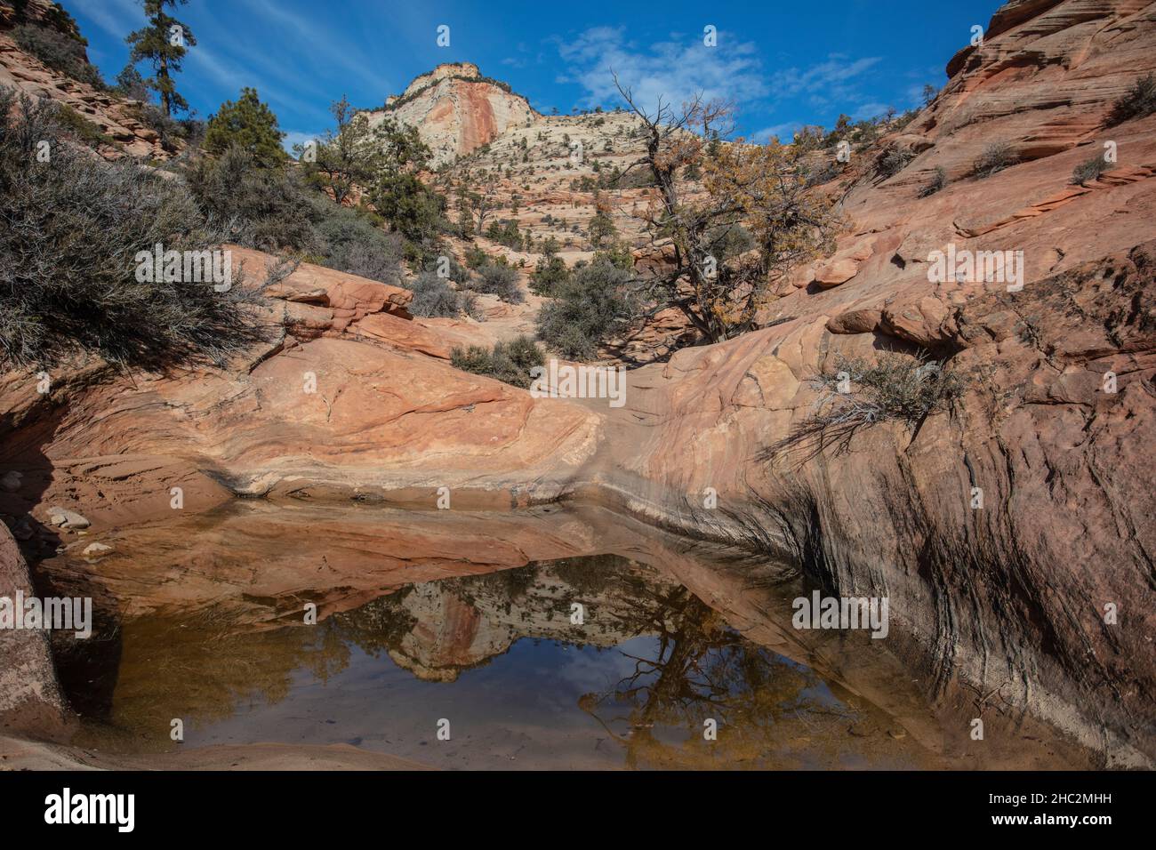 Area selvaggia del Parco Nazionale di Zion - la Valle delle molte piscine. Foto Stock