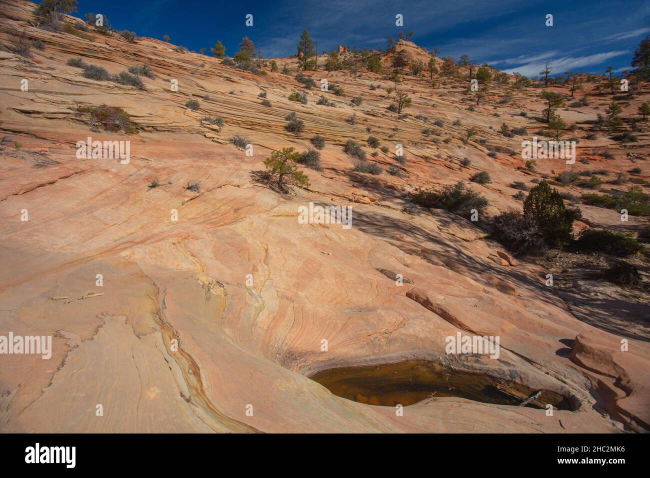 Area selvaggia del Parco Nazionale di Zion - la Valle delle molte piscine. Foto Stock