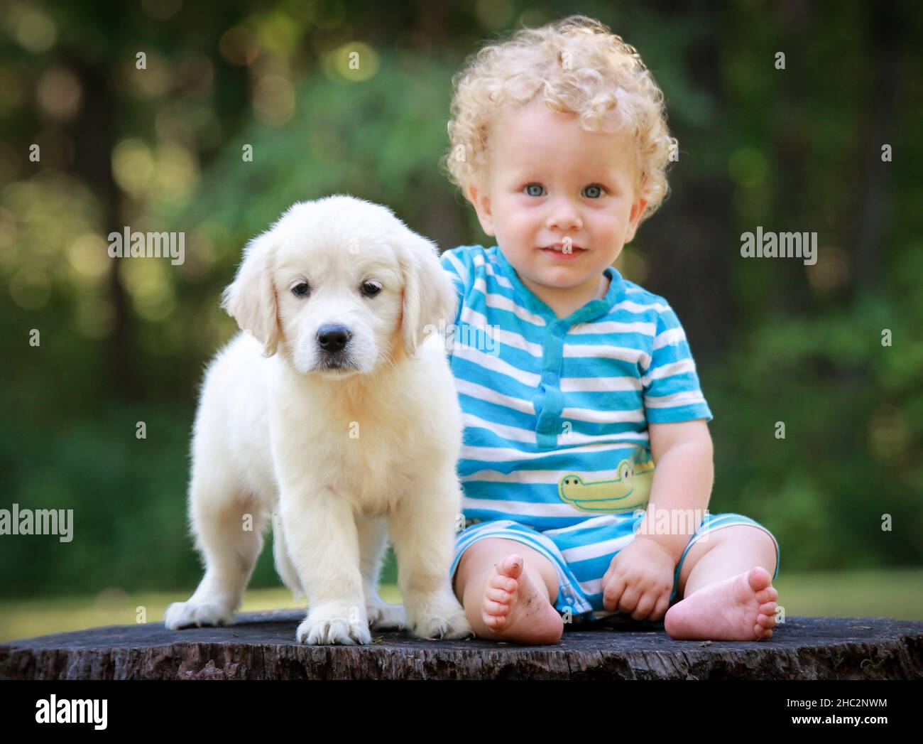 Cute Baby Boy seduta con Golden Retriever Puppy guardando la fotocamera. Concetto di amicizia Foto Stock