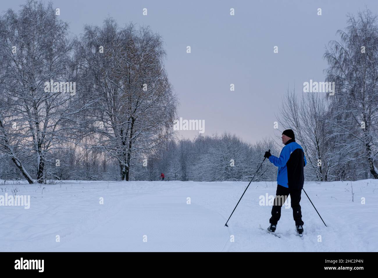 Inverno magico nel parco. Giorno gelido. Foto di alta qualità Foto Stock