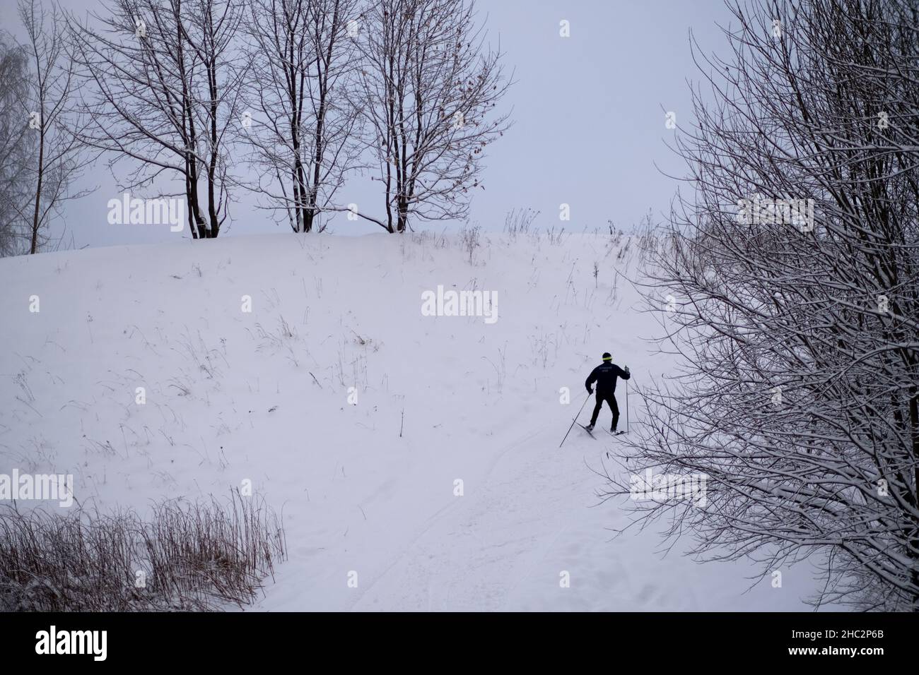 Inverno magico nel parco. Giorno gelido. Foto di alta qualità Foto Stock