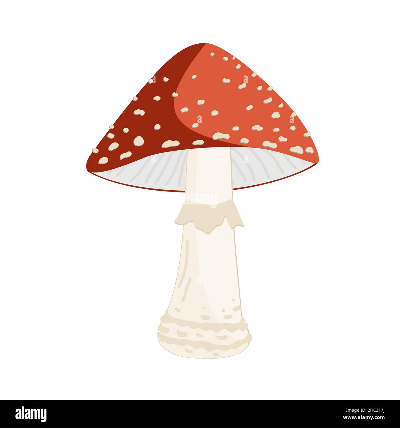 Illustrazione vettoriale del fungo Amanita. Toadstool velenoso mosca agarico. Fungo rosso bianco macchiato isolato su sfondo bianco. Illustrazione Vettoriale