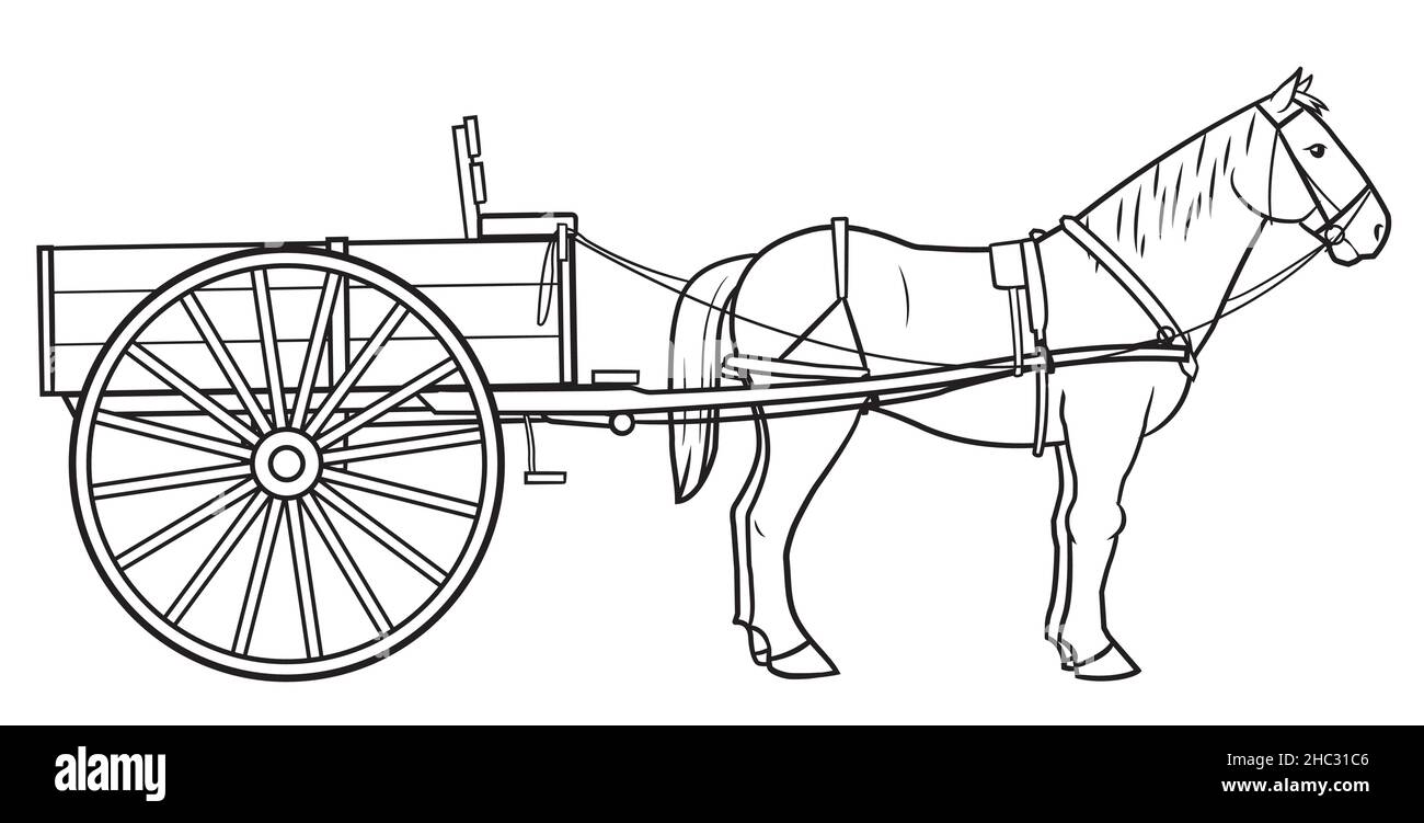 Illustrazione del carrello a cavallo singolo classico. Illustrazione Vettoriale Illustrazione del carrello a cavallo singolo classico. Illustrazione Vettoriale
